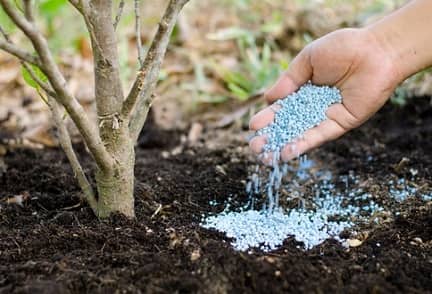 inorganic fertilizer inorganic fertilizer