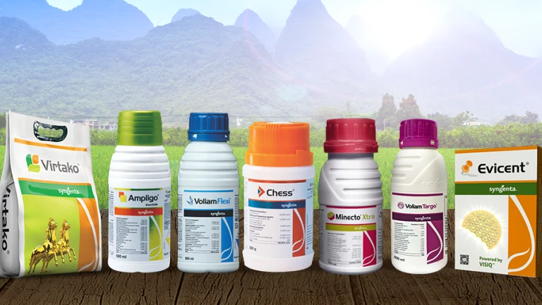 Home insecticedes